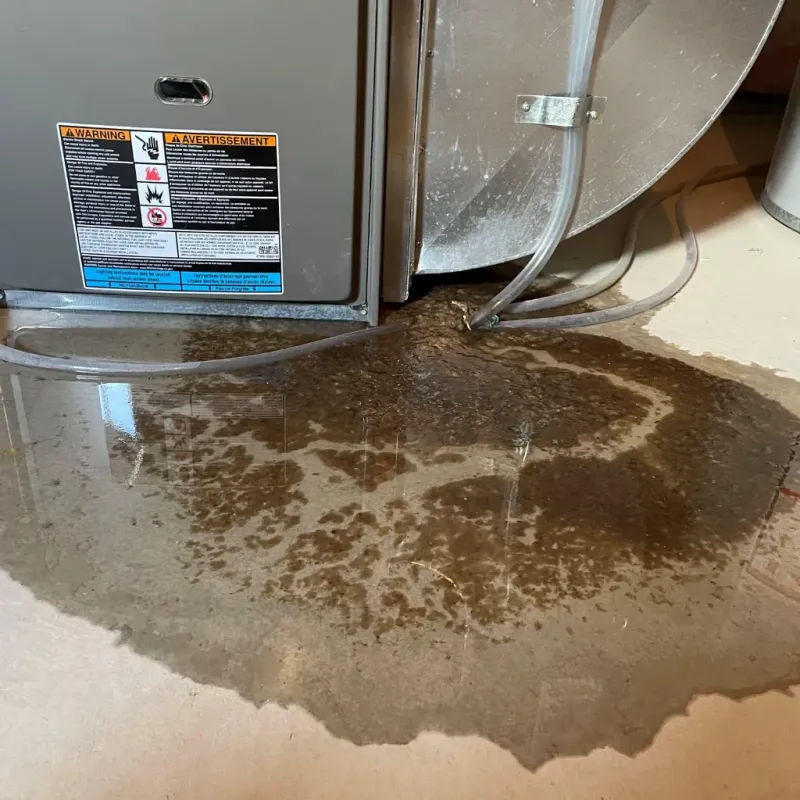 Appliance Leak Cleanup in Woodbury, CT